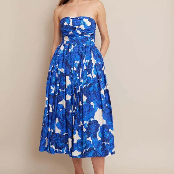 NWT CARA CARA Daria Dress | Floral Garden Blue | SZ 4 - Picture 1 of 5